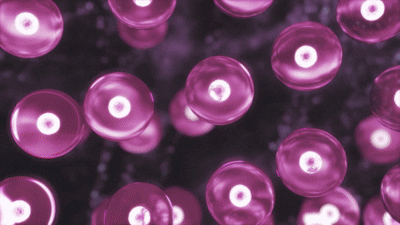 POINT 1. 10단계 고주파 에너지