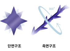 360º 로 분포된 3D 입체 돌기
