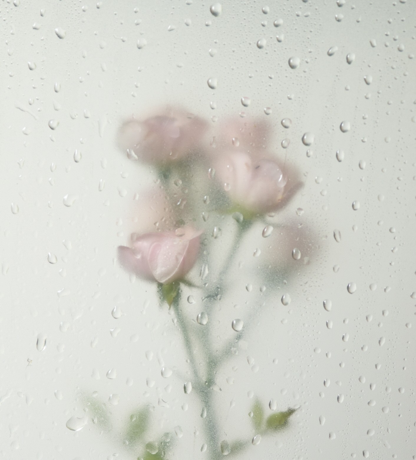 뒷트임 음영반영구