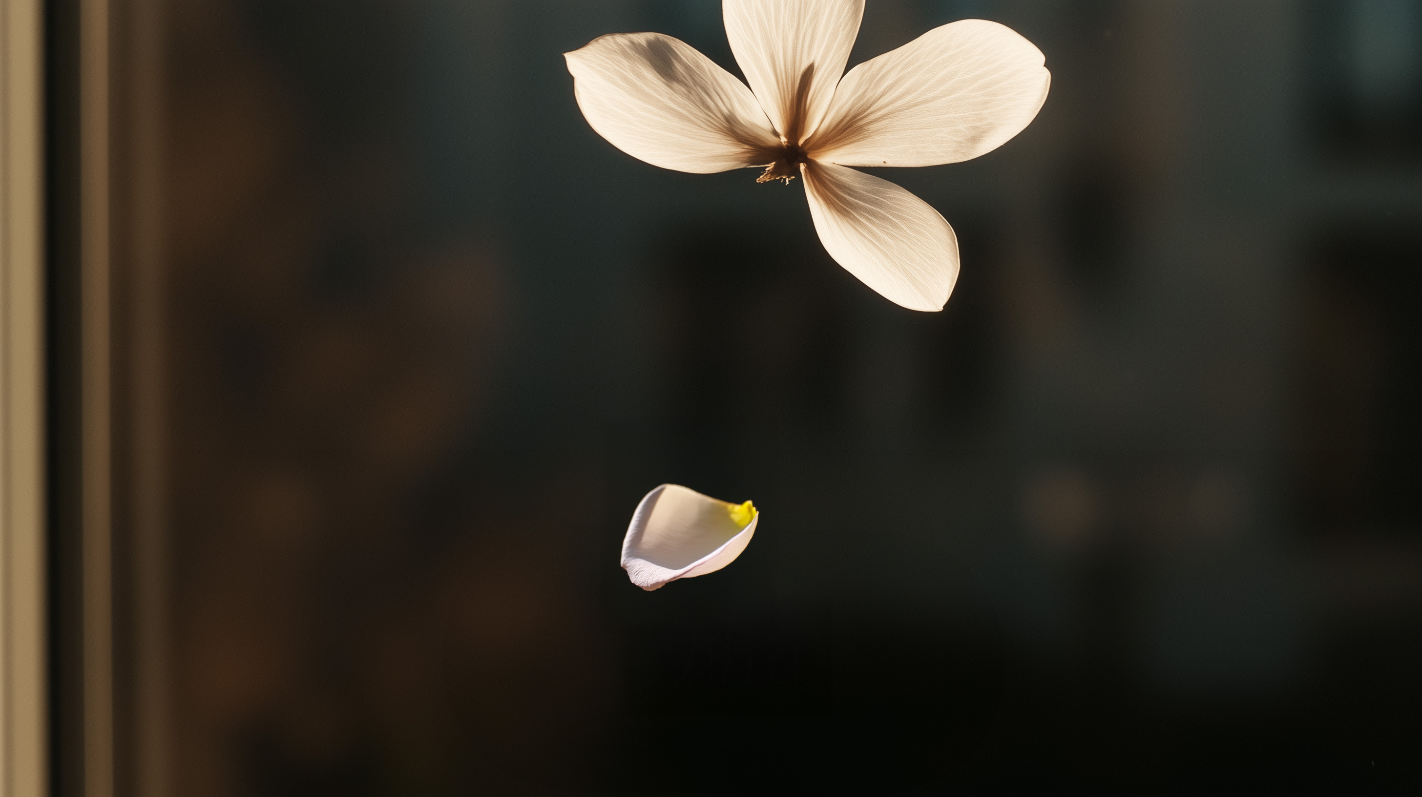 STEP 1. 사전 통증 민감도 체크