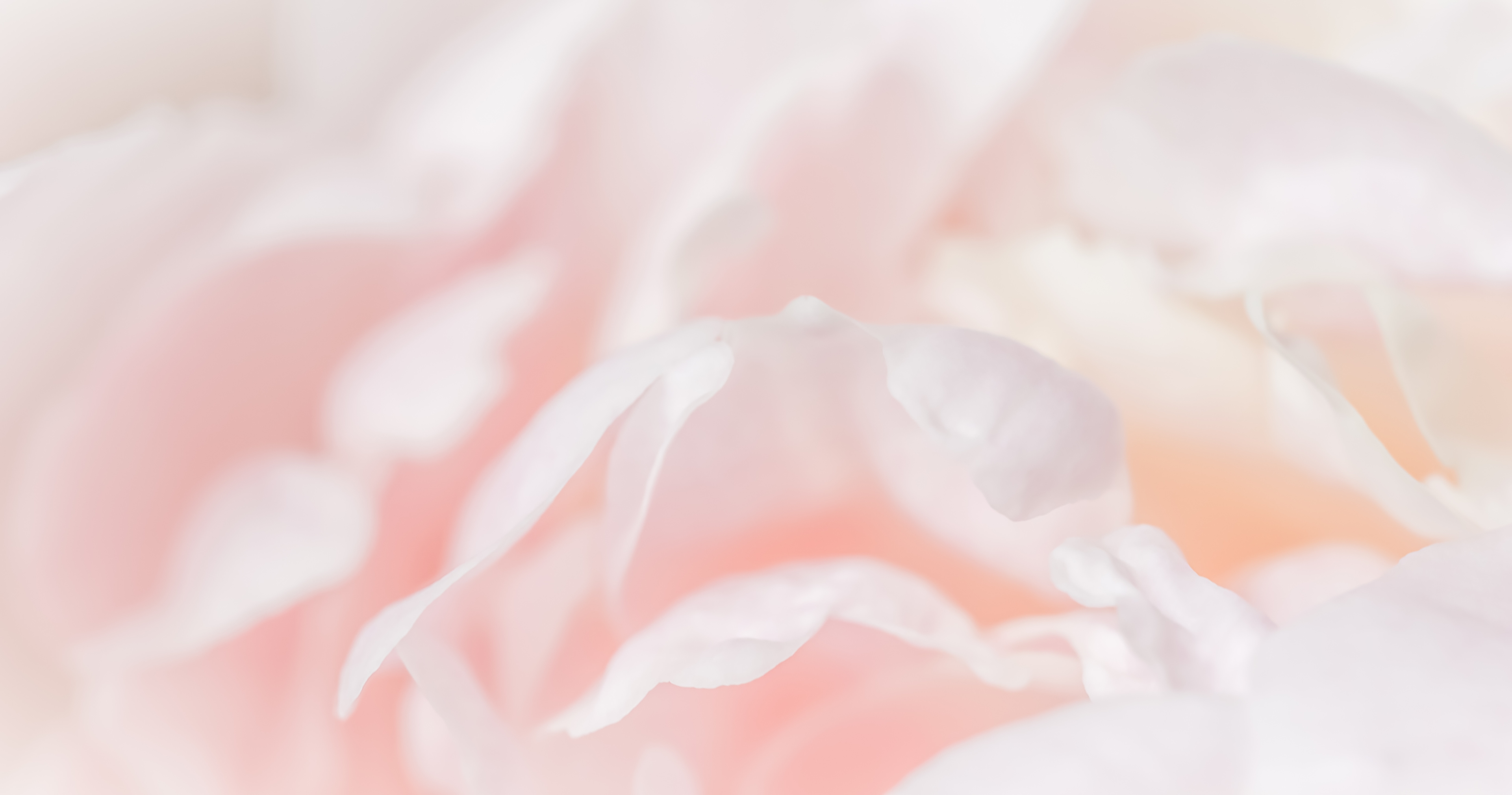 STEP 2. 탄력•리프팅